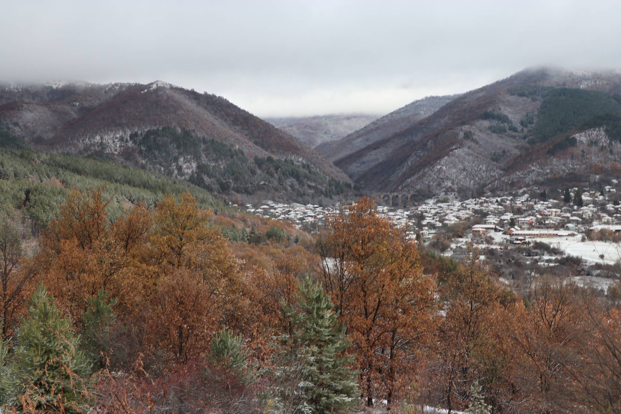 Студено време